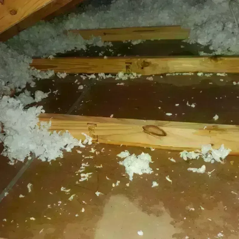 Attic Water Damage in Perham, MN