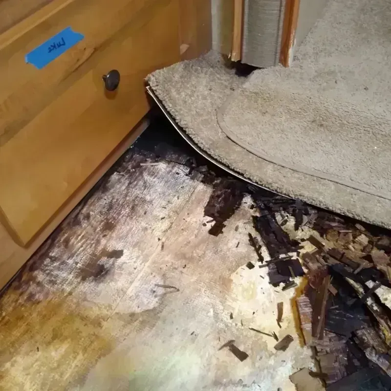 Best Wood Floor Water Damage Service in Perham, MN